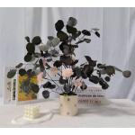 Preserved Hydrangea Potted Plant